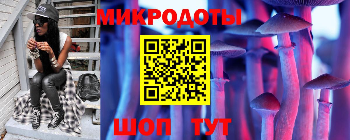 Галлюциногенные грибы Psilocybine cubensis  Вход с VPN  Зеленокумск  Галлюциногенные грибы Cubensis 